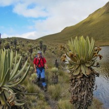 Nevado del Tolima and Farallones de Cali